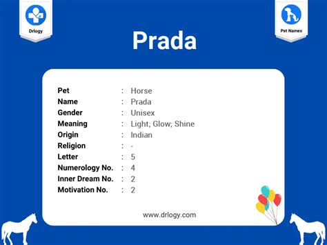 prada meaning in english.